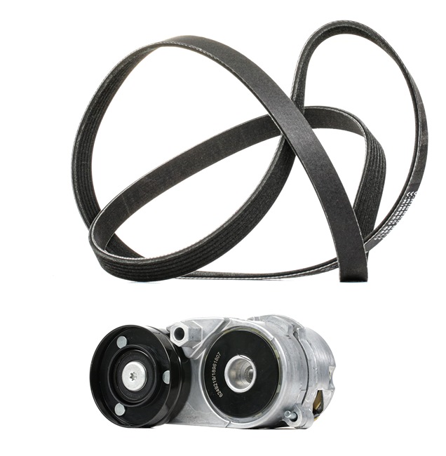 RIDEX <span>PLUS</span> Keilrippenriemensatz 542R0181P