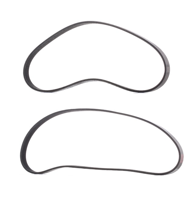 RIDEX <span>PLUS</span> 542R0033P V-Ribbed Belt Set