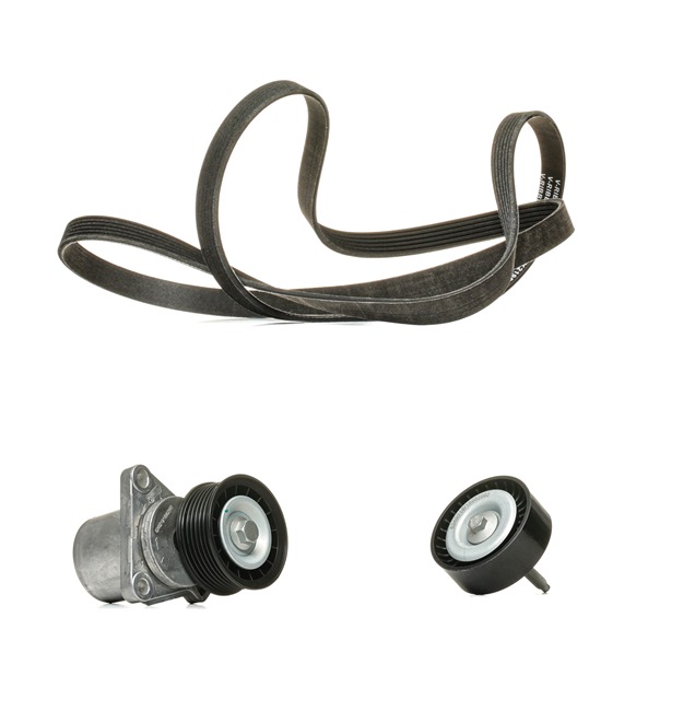 RIDEX <span>PLUS</span> Jeu de courroies trapézoïdales à nervures 542R0286P