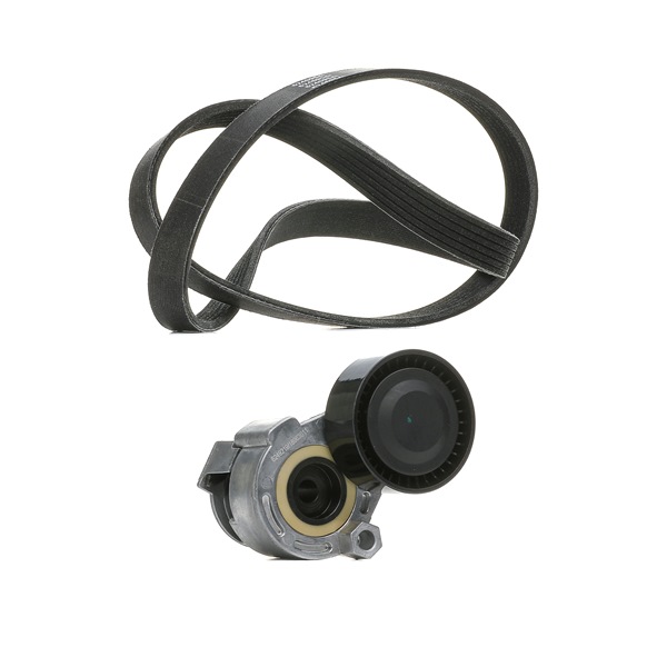 RIDEX <span>PLUS</span> Jeu de courroies trapézoïdales à nervures 542R0170P