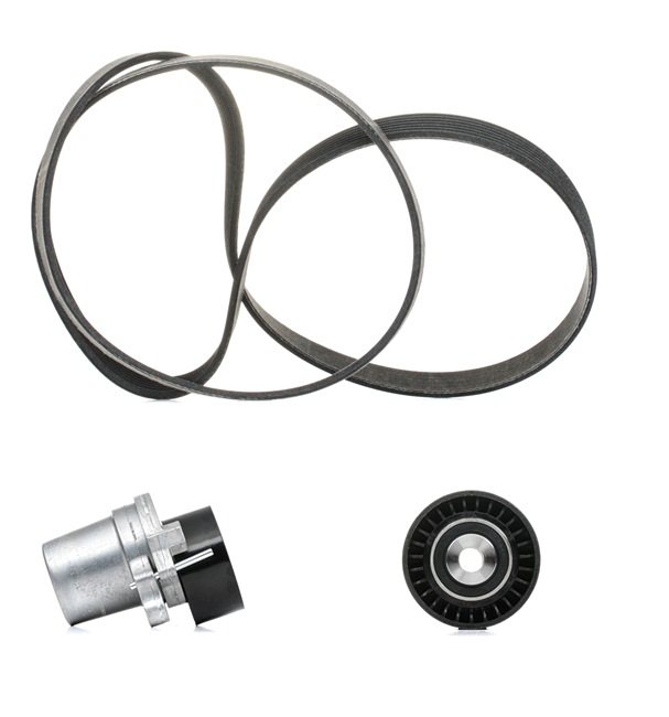 RIDEX <span>PLUS</span> V-Ribbed Belt Set 542R0315P