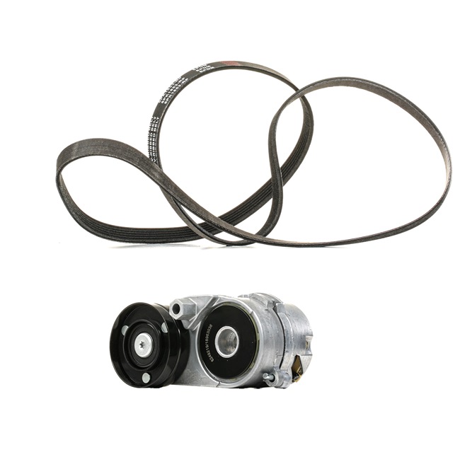 RIDEX <span>PLUS</span> V-Ribbed Belt Set 542R0534P