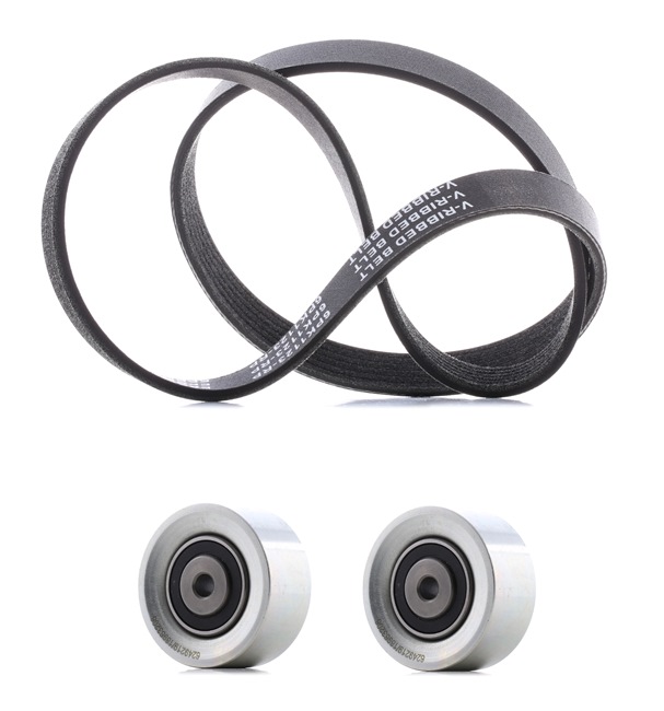 RIDEX <span>PLUS</span> Jeu de courroies trapézoïdales à nervures 542R0465P