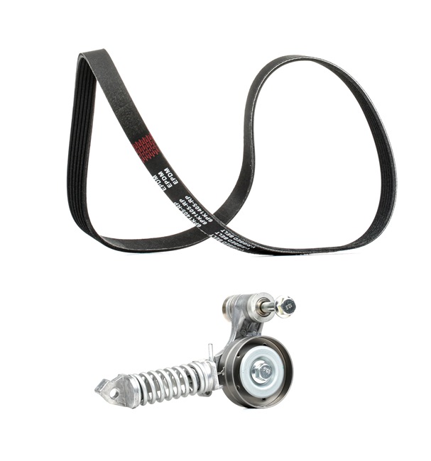 RIDEX <span>PLUS</span> V-Ribbed Belt Set 542R0481P