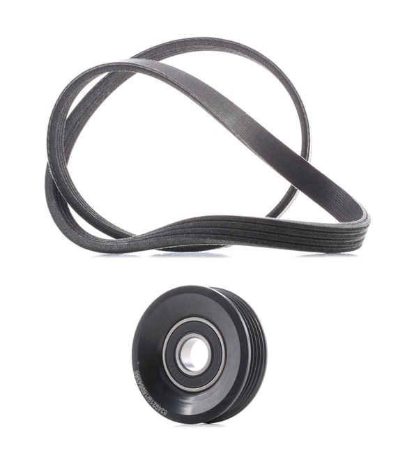 RIDEX <span>PLUS</span> Keilrippenriemensatz 542R0437P