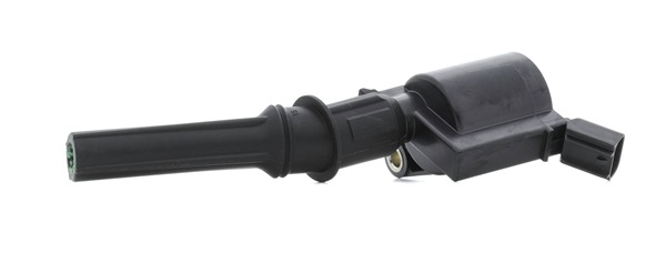 RIDEX <span>PLUS</span> Ignition coil 689C0334P