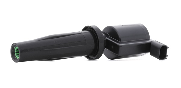 RIDEX <span>PLUS</span> Ignition coil 689C0034P
