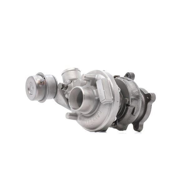 RIDEX REMAN Turbocharger 2234C10798R