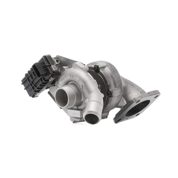 RIDEX REMAN Turbocompresor 2234C10810R