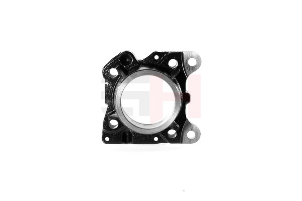 GH Front axle both sides, Front Axle Right Axle knuckle GH-292311 buy