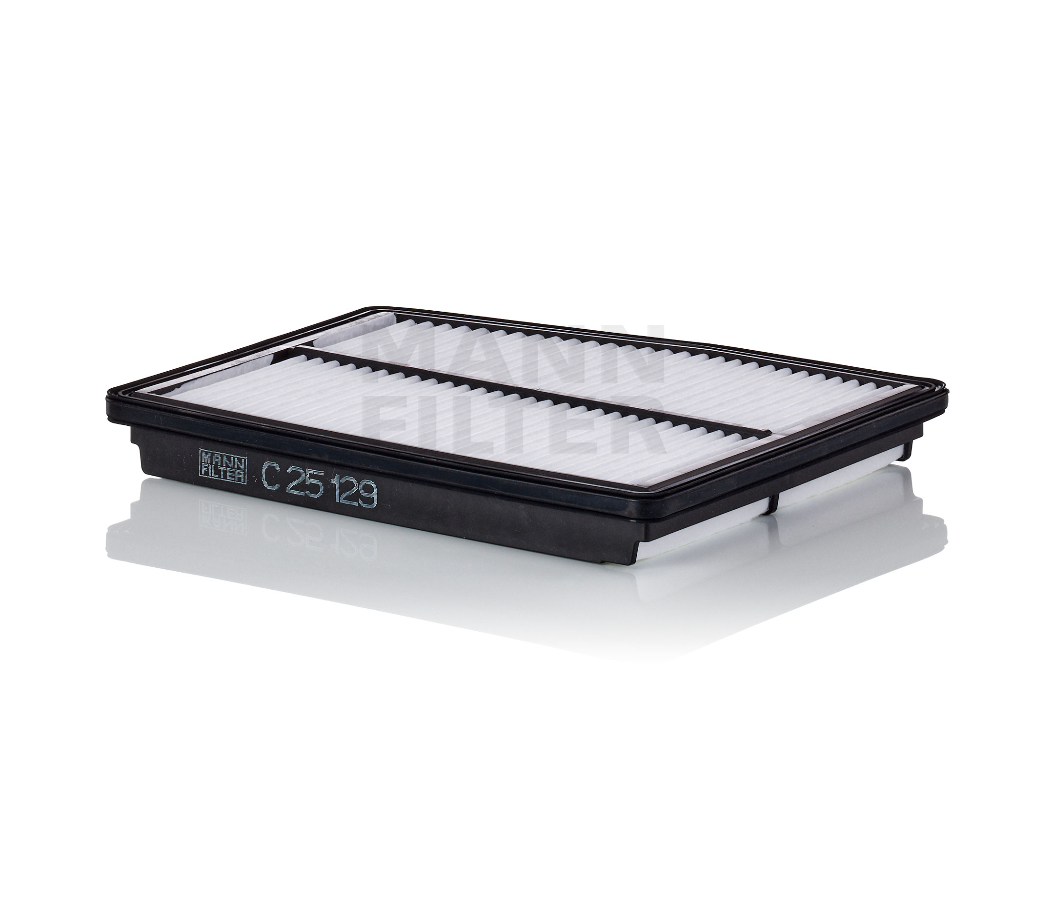 MANN-FILTER C 25 129 prix filtre à air SANTA FE 2020