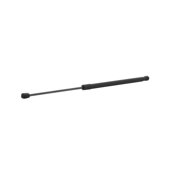 RIDEX Heckklappendämpfer 219G1244