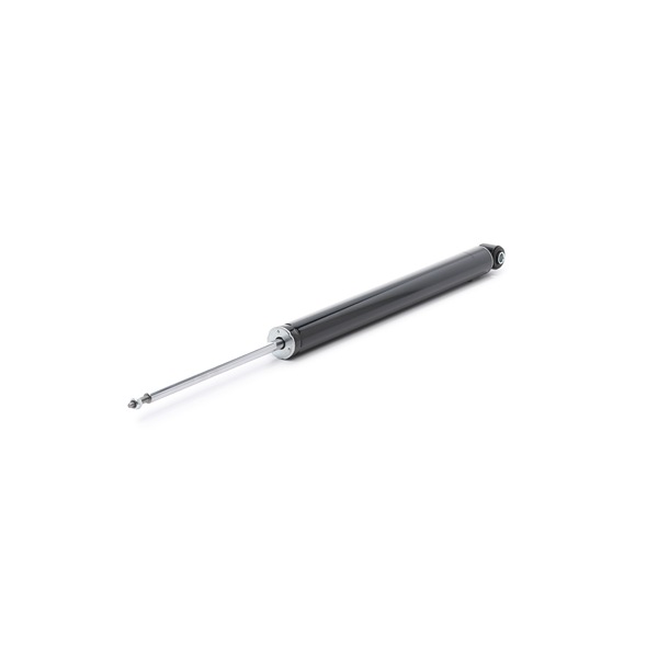 RIDEX Shock absorber 854S18984