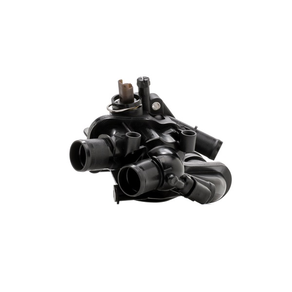 RIDEX Thermostat 316T0596