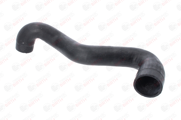 BIRTH 55736 FIAT MULTIPLA Schlauch, Ladeluftkühler kaufen