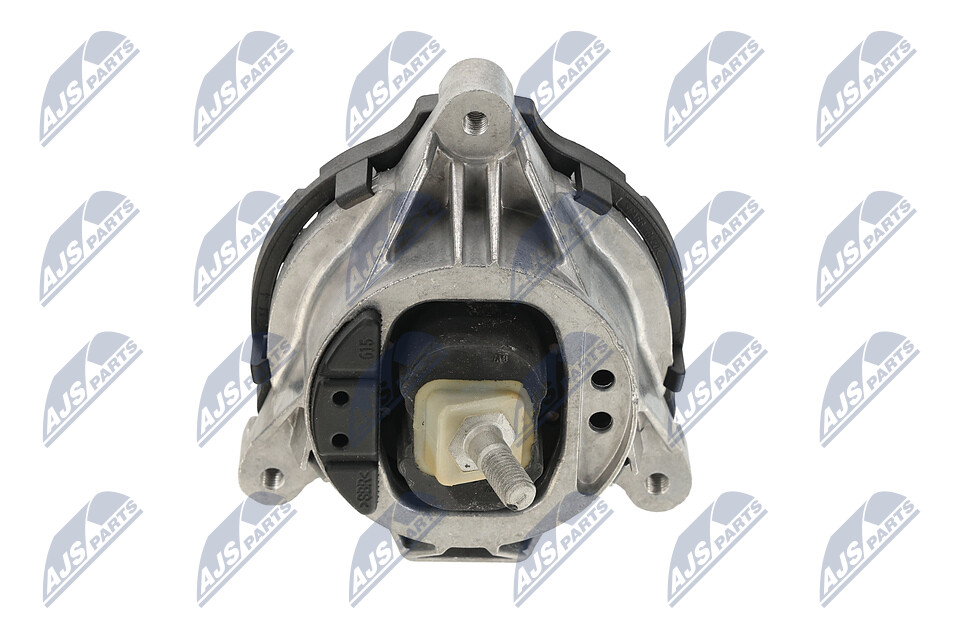 ZPS-BM-029 Engine mount NTY 22116787659