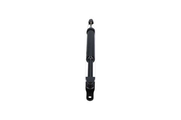 KAVO PARTS SSA-11121 Shock absorber 50519035
