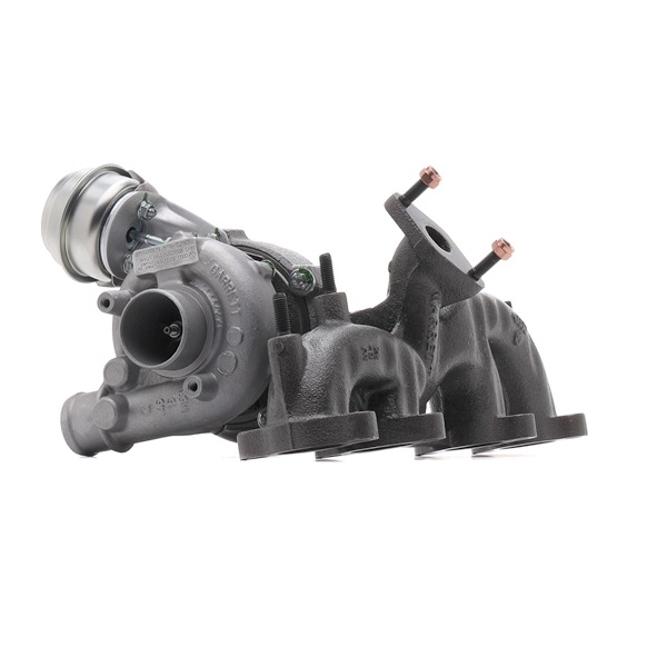 RIDEX REMAN Turbocharger 2234C10602R