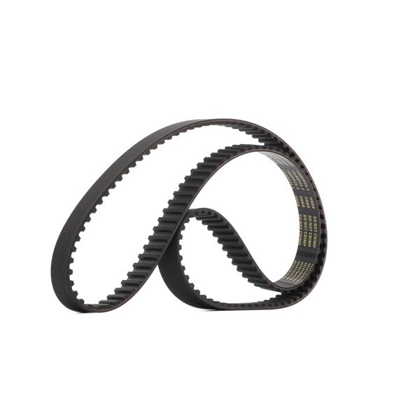 RIDEX <span>PLUS</span> 306T0168P Cinghia dentata