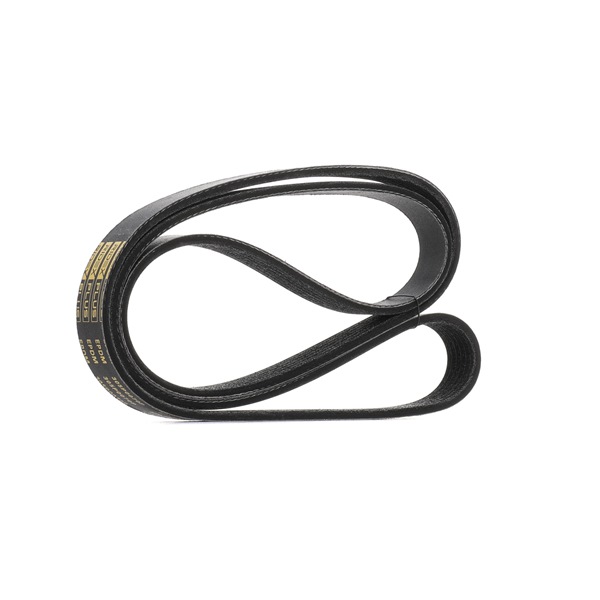 RIDEX <span>PLUS</span> Courroie Poly-V 305P0070P