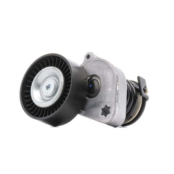 RIDEX <span>PLUS</span> 541V0033P Galet tendeur de courroie d'accessoire
