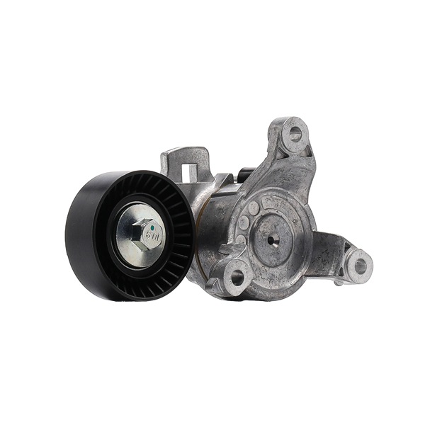 RIDEX <span>PLUS</span> 310T0259P Tensioner pulley