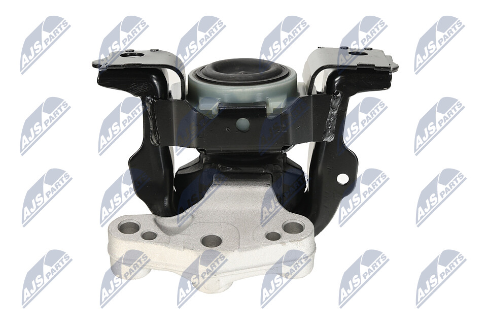 ZPS-CT-012 NTY Motorophæng DS DS4 / DS4 Crossback