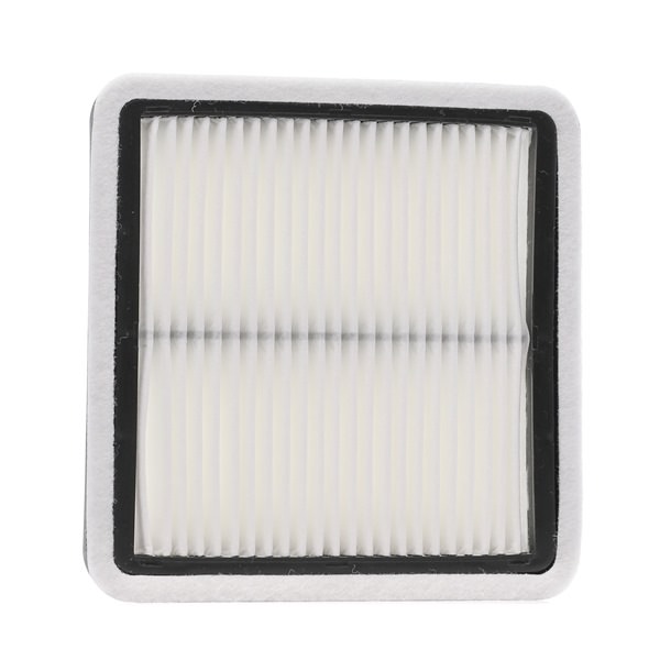 RIDEX <span>PLUS</span> 8A0112P Luftfilter