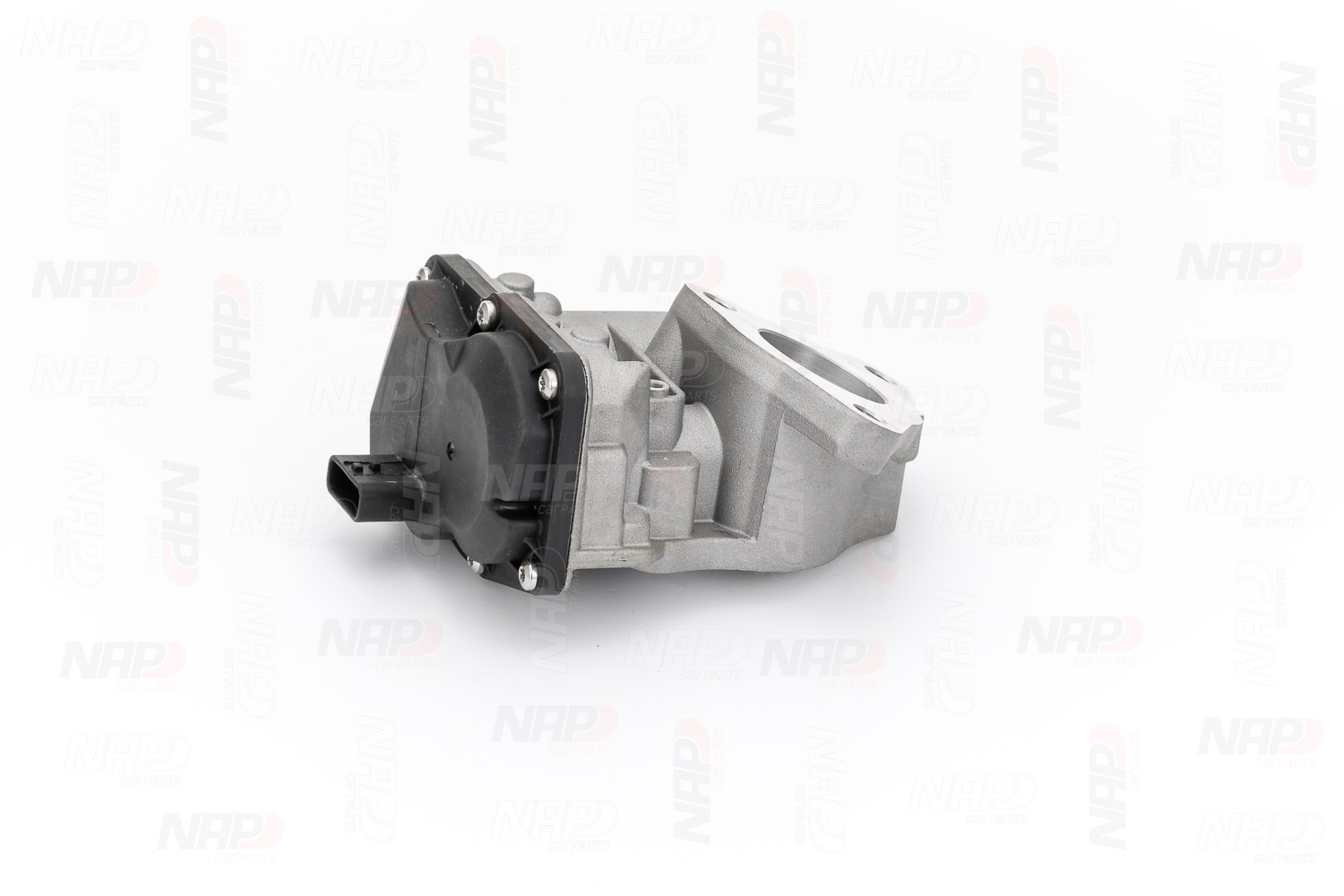 NAP carparts CAV10179 EGR valve DACIA experience and price