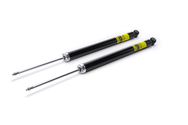 RIDEX <span>PLUS</span> Shock absorber 854S1540P