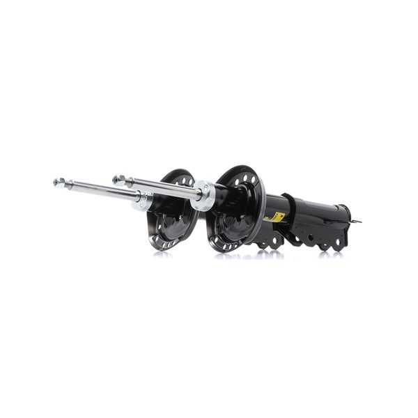 RIDEX <span>PLUS</span> Shock absorber 854S18462P