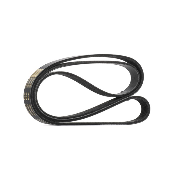 RIDEX <span>PLUS</span> 305P0169P Serpentine belt