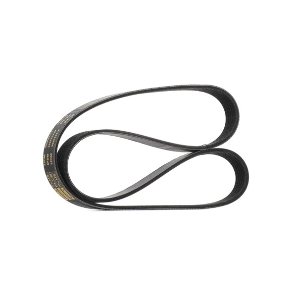 RIDEX <span>PLUS</span> Courroie Poly-V 305P0341P