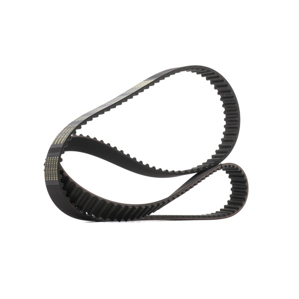 RIDEX <span>PLUS</span> Timing Belt 306T0060P