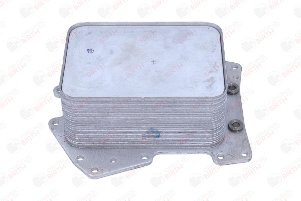80825 Olejový chladič, motorový olej BIRTH LR0 22895