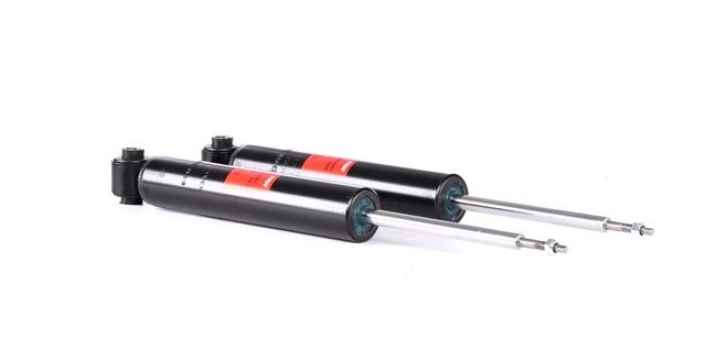 TRW TWIN JGE295T Stoßdämpfer