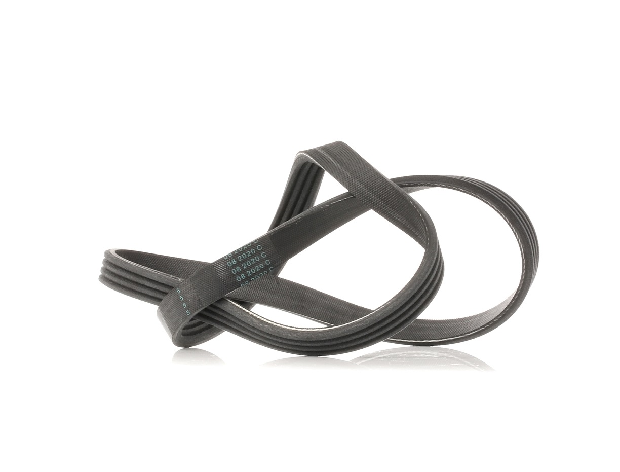 Fiat STRADA Ribbed belt 221541 DAYCO 4PK841 online buy