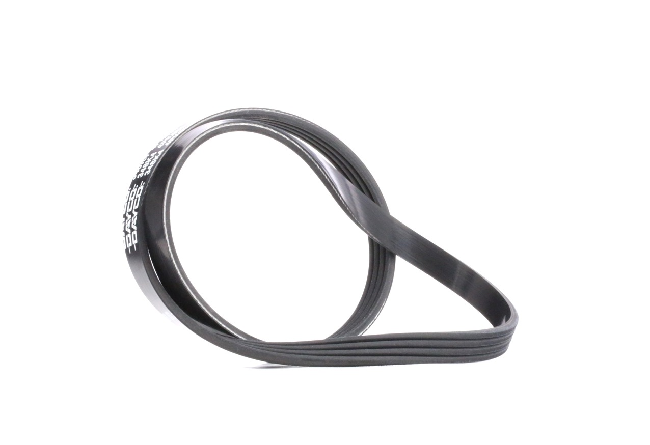 Kia SHUMA V-ribbed belt 221553 DAYCO 4PK884 online buy