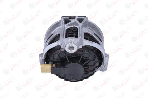 57112 Vlezajenje, motor BIRTH 4M0199372B