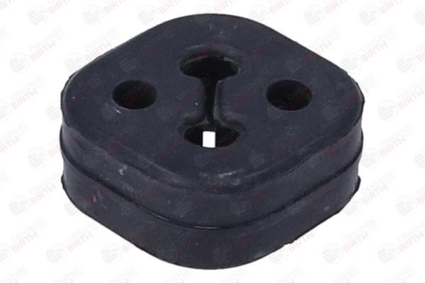 70243 BIRTH Uitlaatrubber review