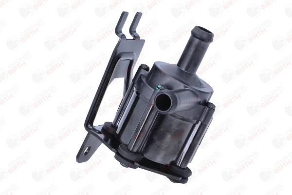 BIRTH 82002 FORD TOURNEO CONNECT Wasserumwälzpumpe kaufen