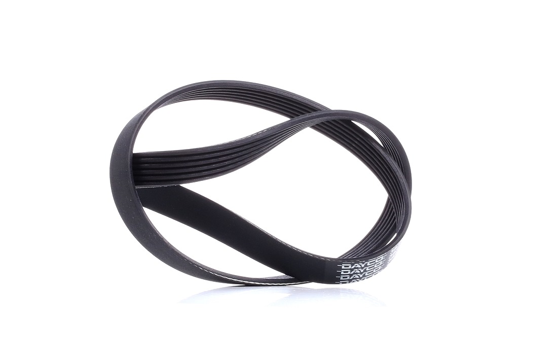 Image of DAYCO V-ribbed belt VW,FORD,SEAT 6PK975 60571125,60625590,037903137G Serpentine belt,Auxiliary belt,Poly V-belt,Ribbed belt,Multi V-belt,Poly belt