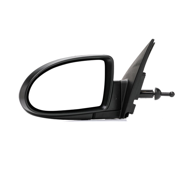 RIDEX Wing mirror 50O2993