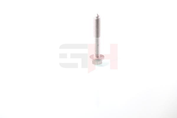 GH GH-391937 Kruvi, teljeots