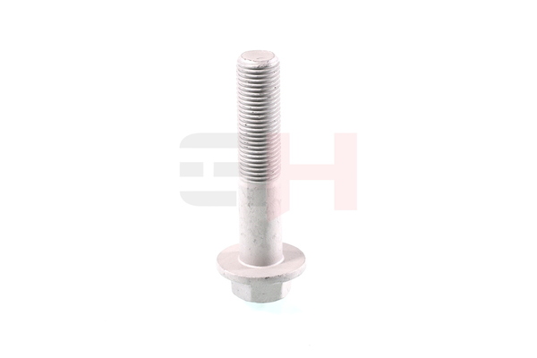 GH GH-393389 Kruvi, teljeots