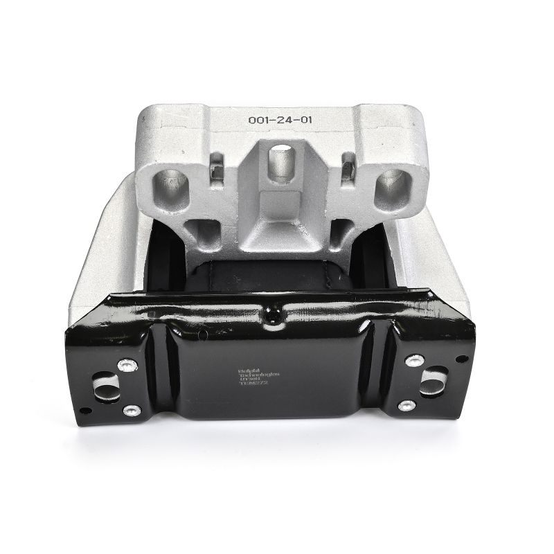 DELPHI TEM272 Suport motor ieftine în magazin
