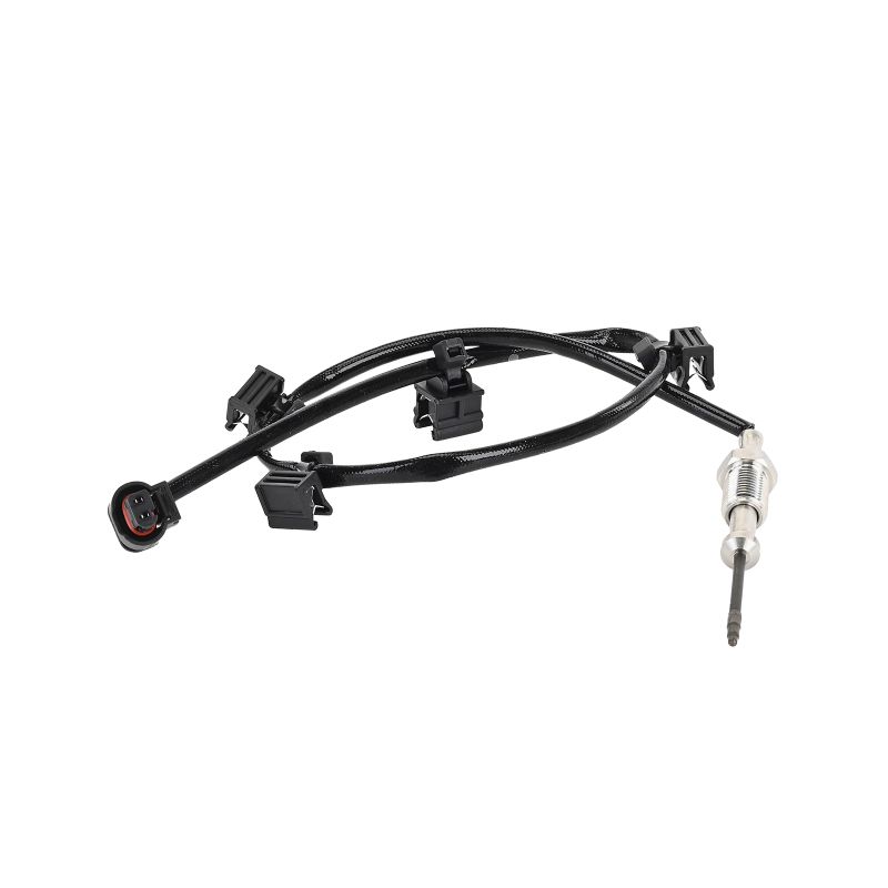DELPHI TS3037412B1 Abgastemperatursensor BMW 3 Touring (G21) 330d 265 PS Diesel 2024 Preis