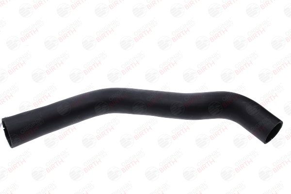 55893 Tubo flexible de aire de sobrealimentación BIRTH 0382.JS FIAT