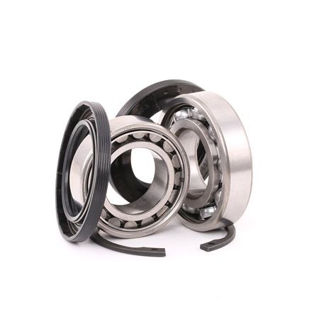 FAG 713 6115 50 Wiellagerset