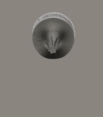 KS TOOLS T10, Torx Steckschlüsseleinsatz 911.1858 online kaufen